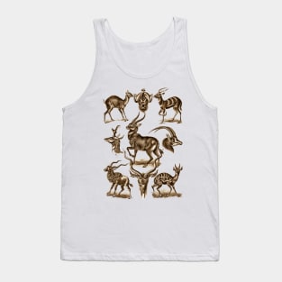 Ernst Haeckel Antilopina Antelope Tank Top